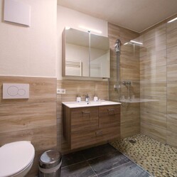 The bathroom can be described as a wellness oasis.